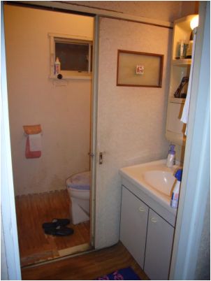 洗面台とトイレです。トイレの床は落ちてしまってました。